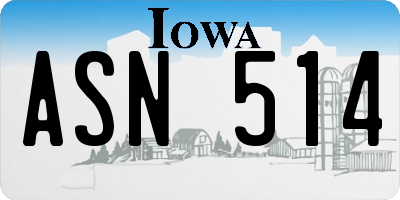 IA license plate ASN514