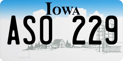IA license plate ASO229