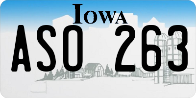 IA license plate ASO263