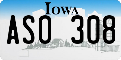 IA license plate ASO308