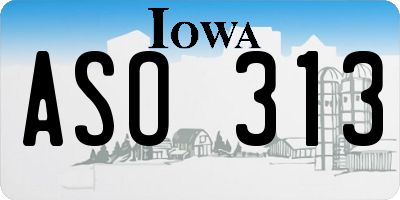 IA license plate ASO313