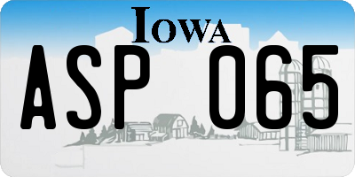 IA license plate ASP065