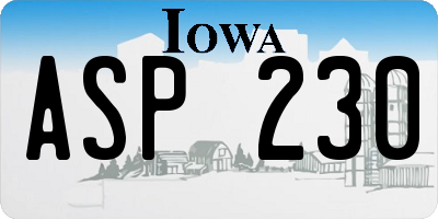 IA license plate ASP230