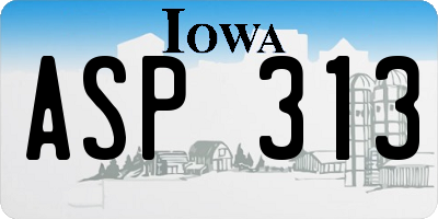 IA license plate ASP313