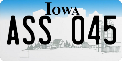 IA license plate ASS045