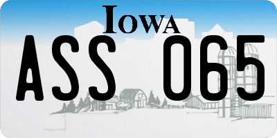 IA license plate ASS065