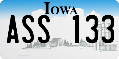 IA license plate ASS133