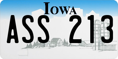IA license plate ASS213