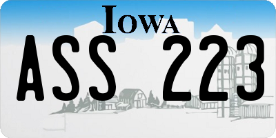 IA license plate ASS223