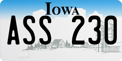 IA license plate ASS230
