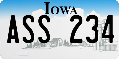 IA license plate ASS234