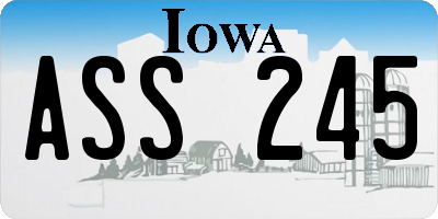 IA license plate ASS245