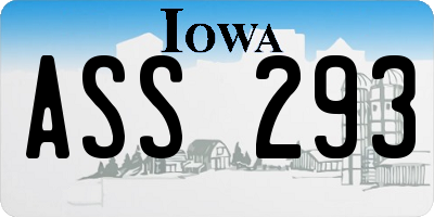IA license plate ASS293