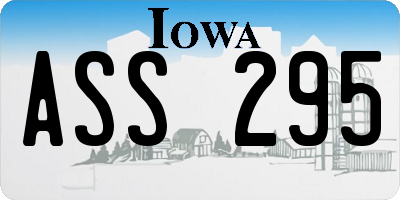 IA license plate ASS295