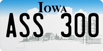 IA license plate ASS300