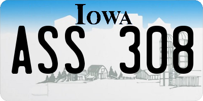 IA license plate ASS308