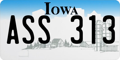 IA license plate ASS313