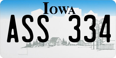 IA license plate ASS334