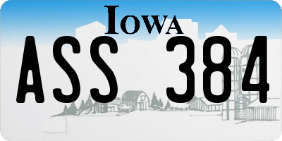 IA license plate ASS384