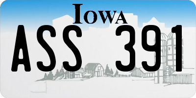 IA license plate ASS391