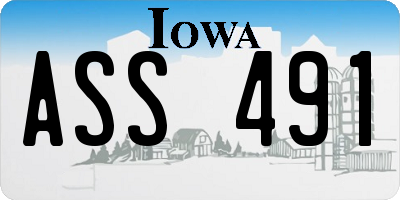 IA license plate ASS491