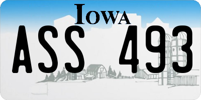 IA license plate ASS493