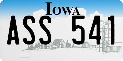 IA license plate ASS541