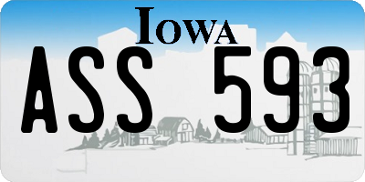 IA license plate ASS593