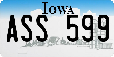 IA license plate ASS599