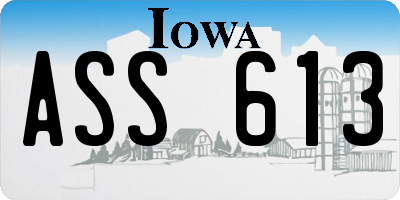 IA license plate ASS613