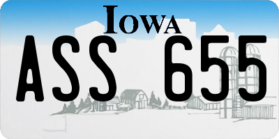IA license plate ASS655
