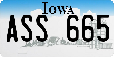 IA license plate ASS665