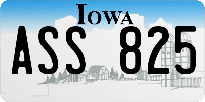IA license plate ASS825