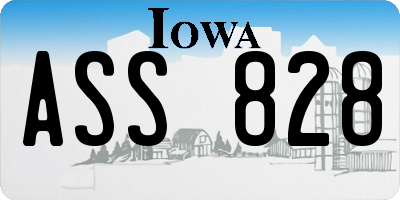 IA license plate ASS828