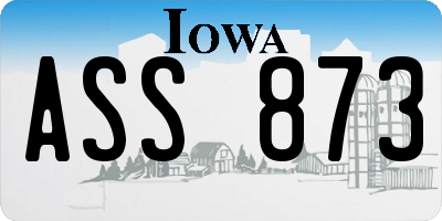 IA license plate ASS873
