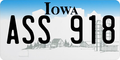 IA license plate ASS918