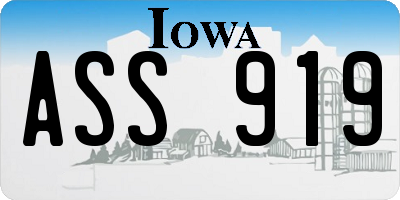IA license plate ASS919