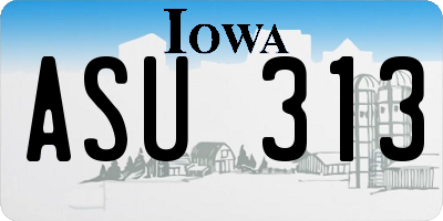 IA license plate ASU313