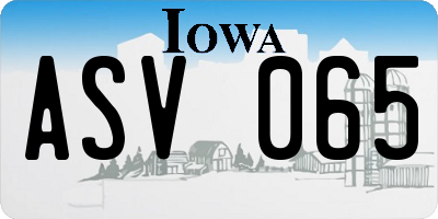 IA license plate ASV065