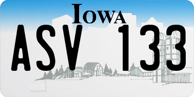 IA license plate ASV133
