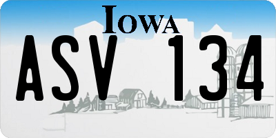 IA license plate ASV134