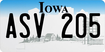 IA license plate ASV205