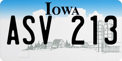 IA license plate ASV213