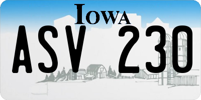 IA license plate ASV230