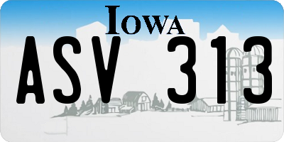 IA license plate ASV313