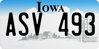 IA license plate ASV493