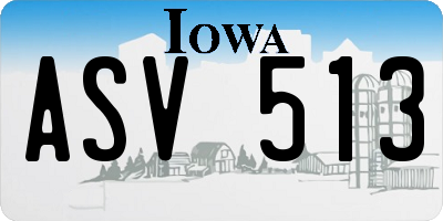 IA license plate ASV513