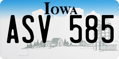 IA license plate ASV585