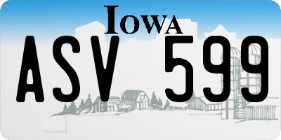 IA license plate ASV599