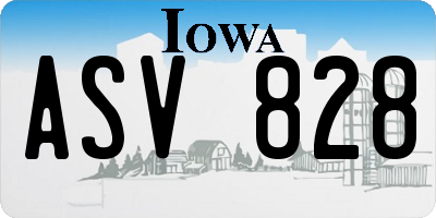 IA license plate ASV828